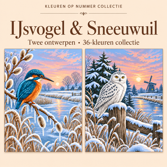 IJsvogel & Sneeuwuil – Kleuren op Nummer Set met twee ontwerpen