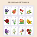 Blumen Tischkalender 2027 – Malen nach Zahlen 3
