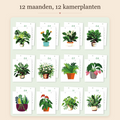 Kamerplanten Bureaukalender 2027 – Schilderen op Nummer 3