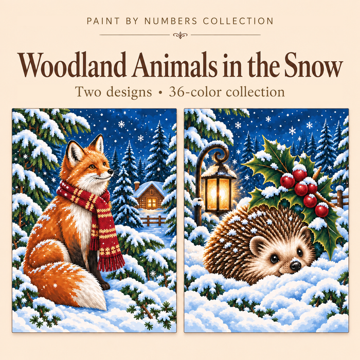Woodland Animals in the Snow – Paint by Numbers Set (Hero EN)