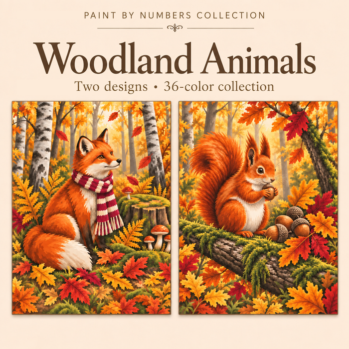 Woodland Animals – Paint by Numbers Set (Hero EN)