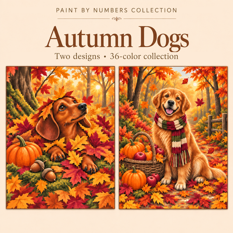 Autumn Dogs – Paint by Numbers Set (Hero EN)
