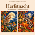 Autumn Night – Paint by Numbers Set (2 canvases) 1