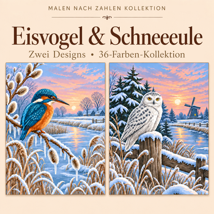 Eisvogel & Schneeeule – Malen nach Zahlen Set (Hero DE)