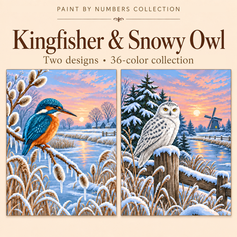 Kingfisher & Snowy Owl – Paint by Numbers Set (Hero EN)