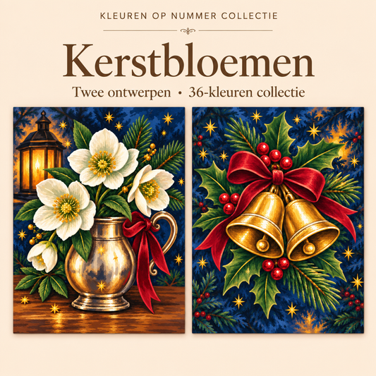 Kerstbloemen – Kleuren op Nummer Set met twee ontwerpen