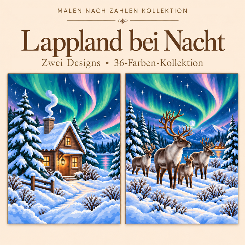 Lappland bei Nacht – Malen nach Zahlen Set (Hero DE)