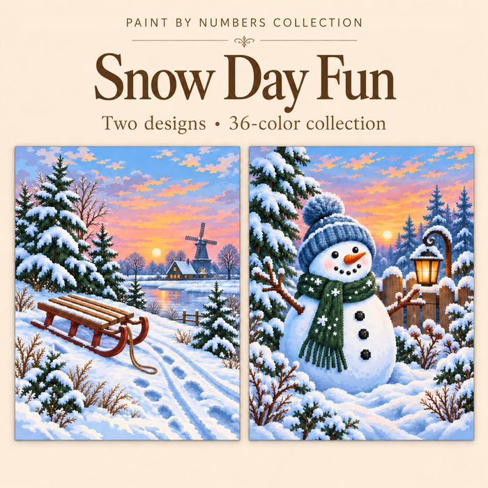 Snow Day Fun – Paint by Numbers Set (Hero EN)