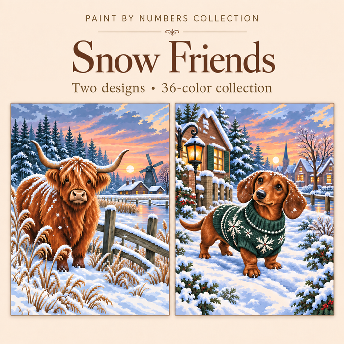 Snow Friends – Paint by Numbers Set (Hero EN)