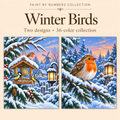 Winter Birds – Paint by Numbers Set (Hero EN) 1