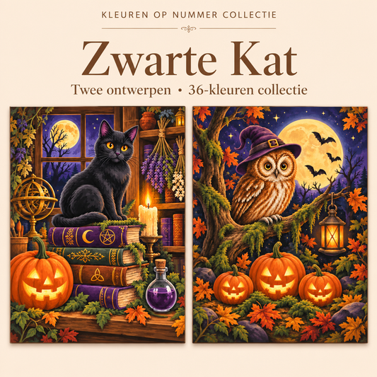 Zwarte Kat – Kleuren op Nummer Set met twee ontwerpen
