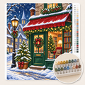 Christmas Bookshop in the Snow — Paint by Numbers 1