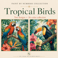 kon-hero-en-tropische-vogels 1