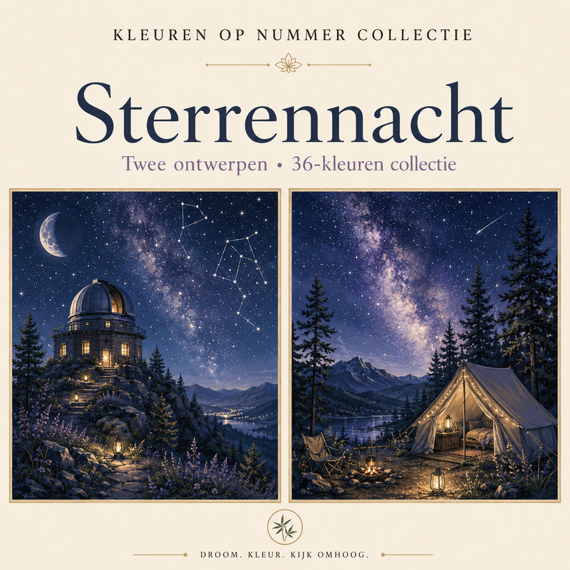 Sterrennacht – Kleuren op Nummer Set (2 canvassen)