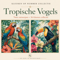 Tropical Birds – Paint by Number Set (2 canvases) 1